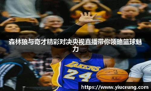森林狼与奇才精彩对决央视直播带你领略篮球魅力