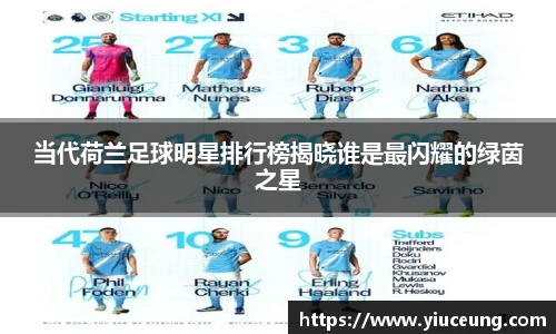 当代荷兰足球明星排行榜揭晓谁是最闪耀的绿茵之星